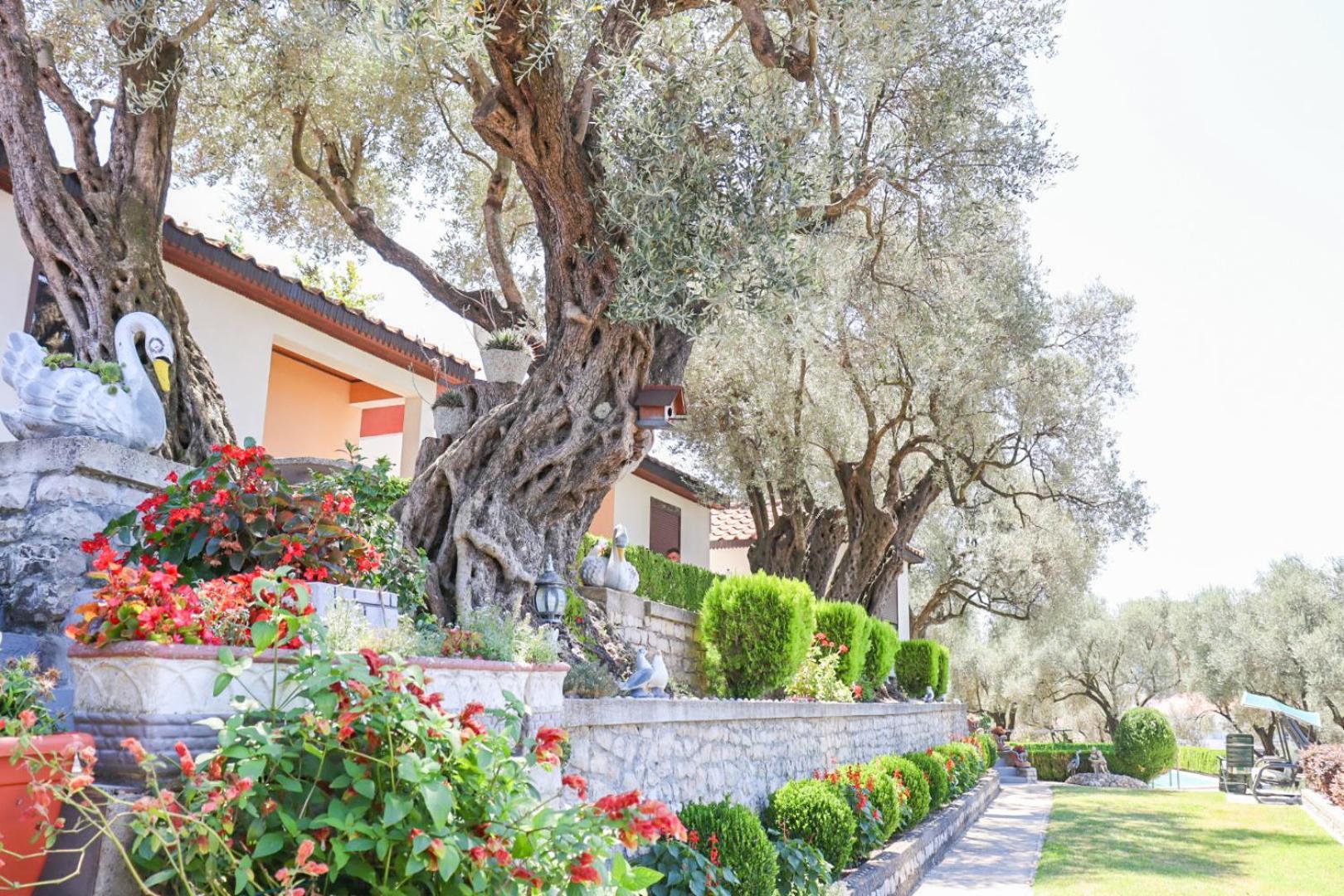 Hilja'S Oliven Garden Bungalows Ούλτσιν Εξωτερικό φωτογραφία