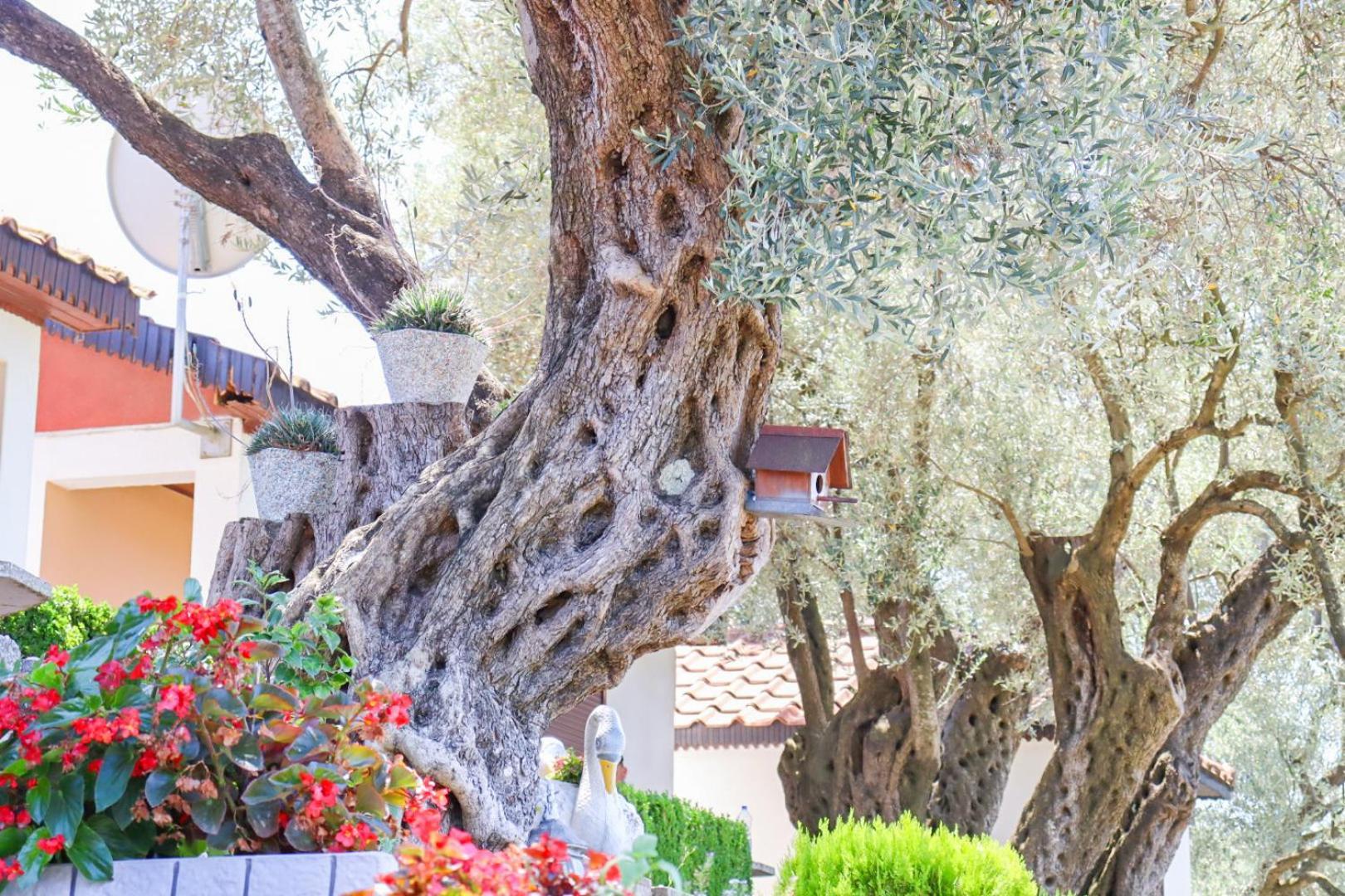 Hilja'S Oliven Garden Bungalows Ούλτσιν Εξωτερικό φωτογραφία
