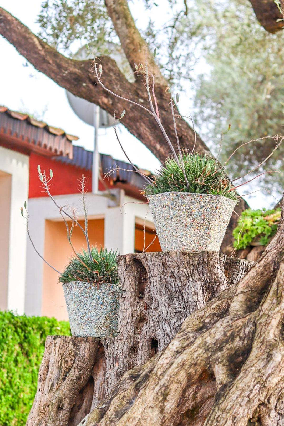 Hilja'S Oliven Garden Bungalows Ούλτσιν Εξωτερικό φωτογραφία