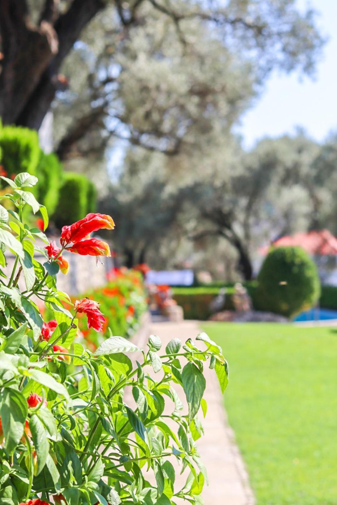 Hilja'S Oliven Garden Bungalows Ούλτσιν Εξωτερικό φωτογραφία