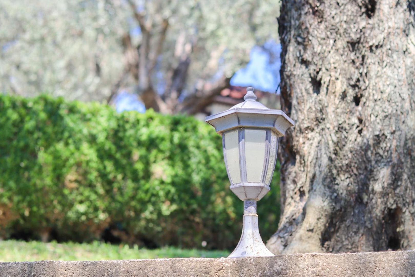 Hilja'S Oliven Garden Bungalows Ούλτσιν Εξωτερικό φωτογραφία