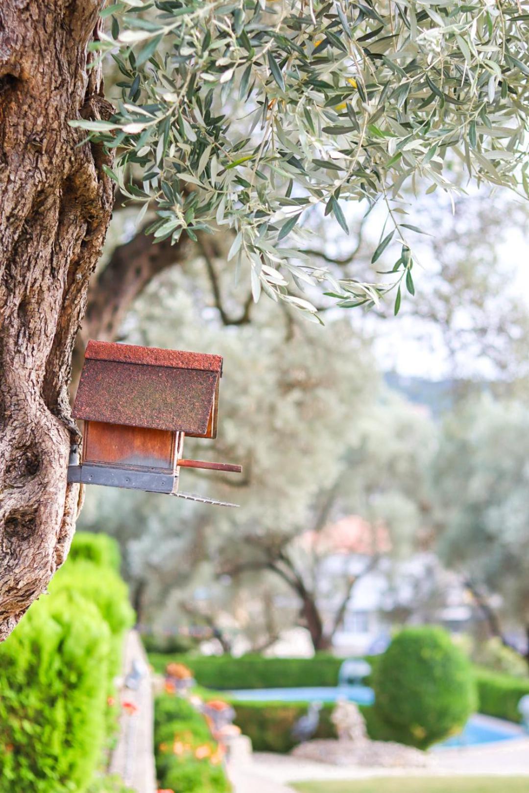 Hilja'S Oliven Garden Bungalows Ούλτσιν Εξωτερικό φωτογραφία
