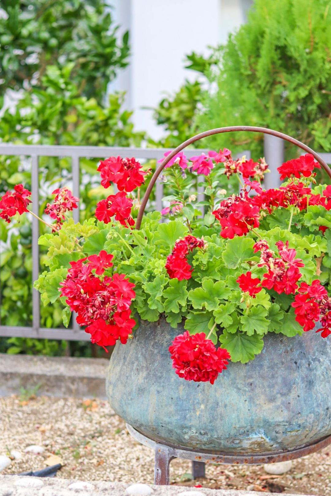 Hilja'S Oliven Garden Bungalows Ούλτσιν Εξωτερικό φωτογραφία