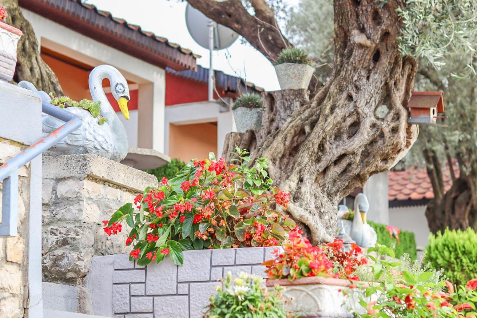 Hilja'S Oliven Garden Bungalows Ούλτσιν Εξωτερικό φωτογραφία