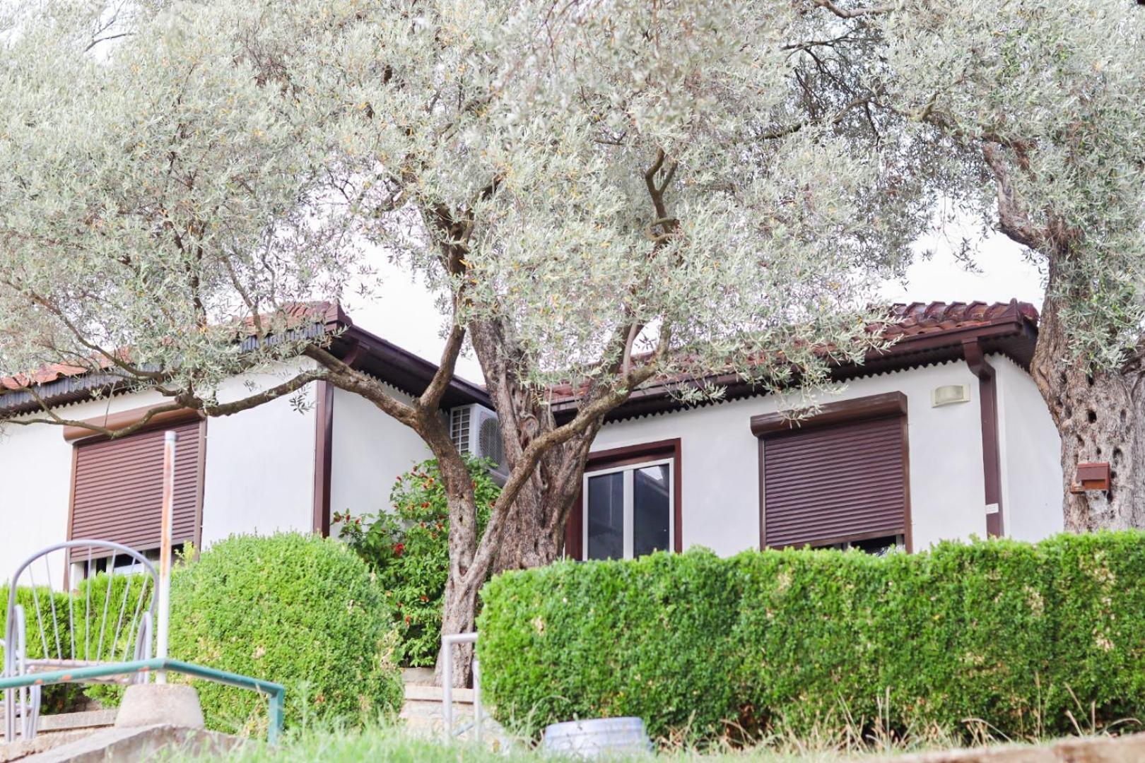 Hilja'S Oliven Garden Bungalows Ούλτσιν Εξωτερικό φωτογραφία