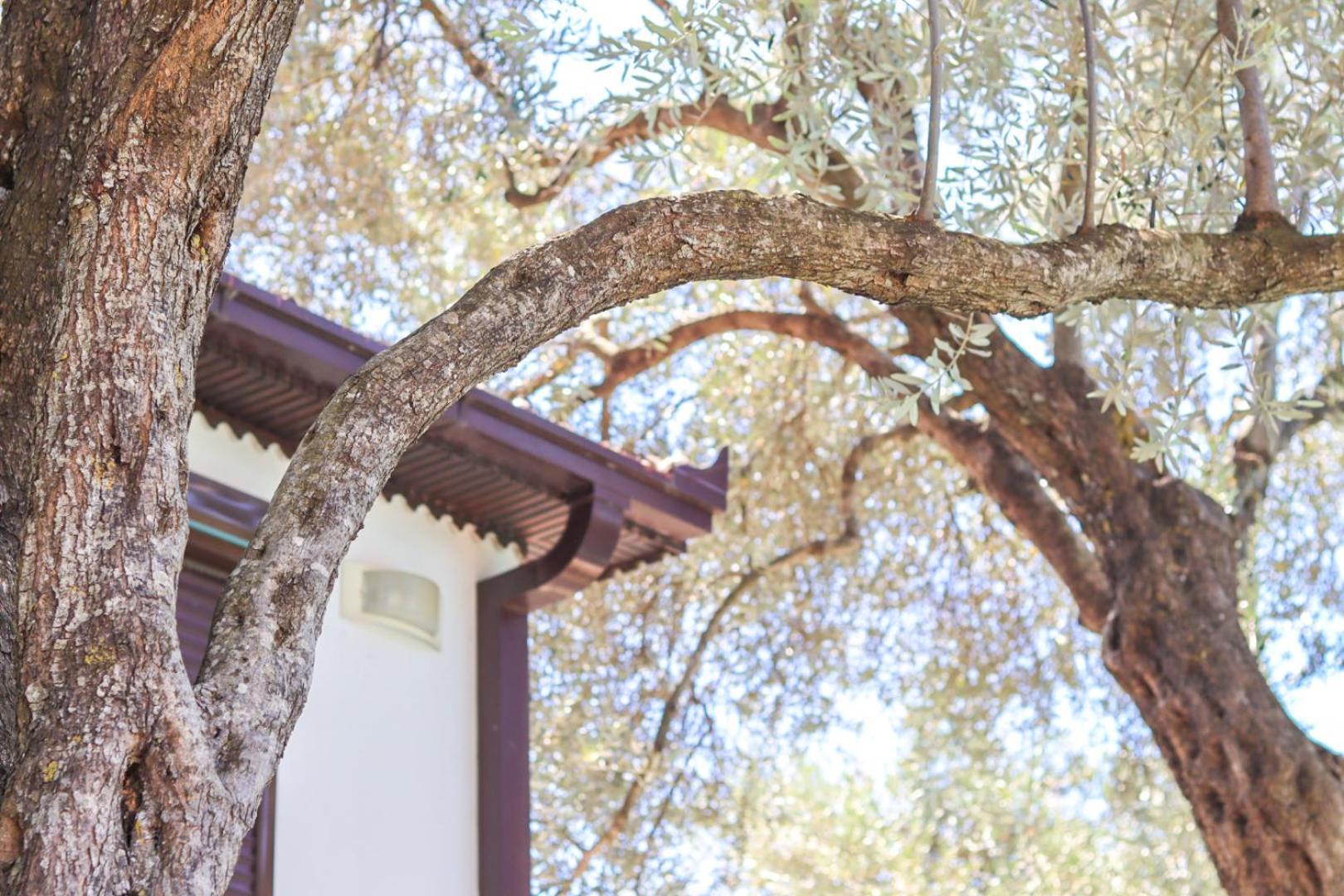 Hilja'S Oliven Garden Bungalows Ούλτσιν Εξωτερικό φωτογραφία