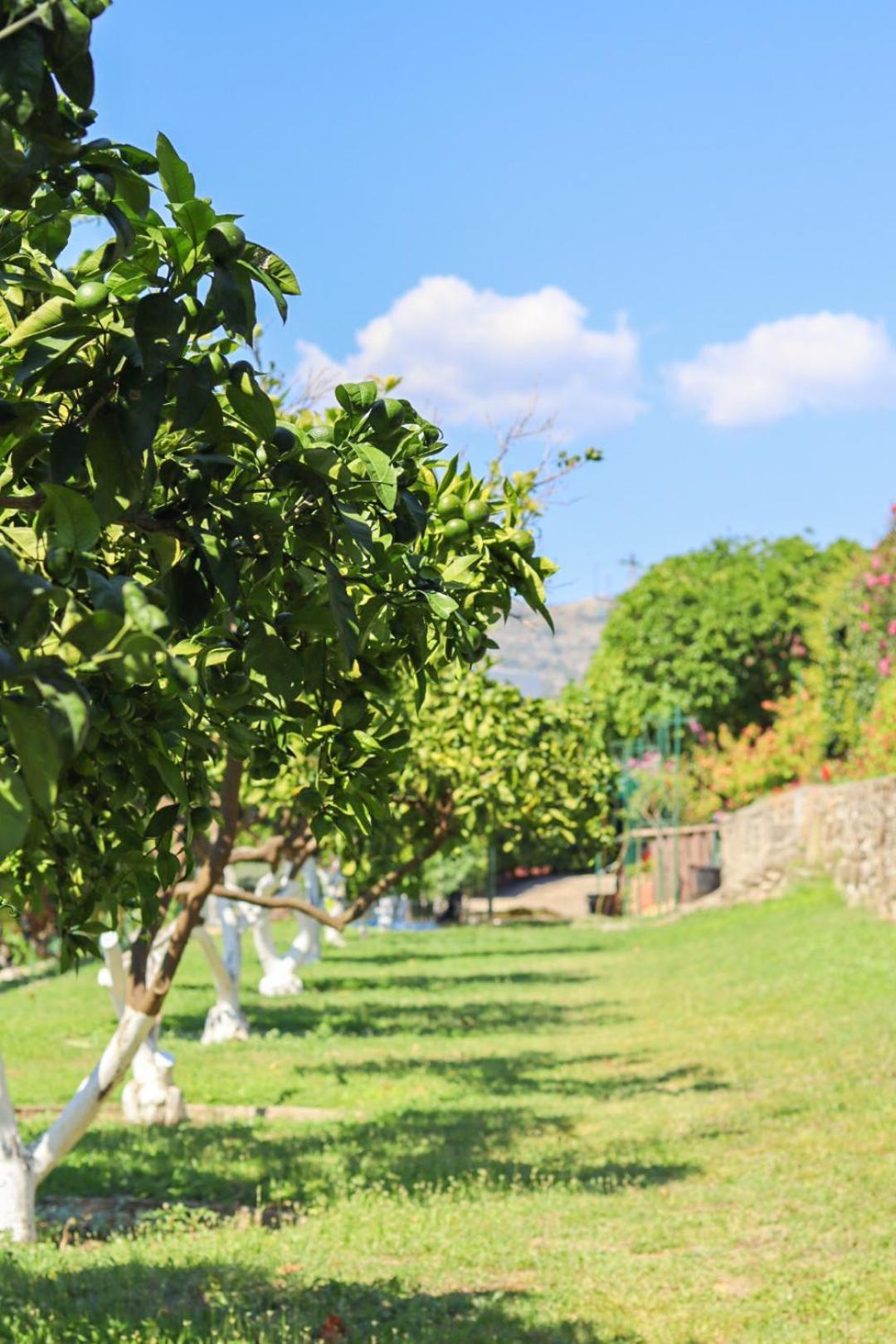 Hilja'S Oliven Garden Bungalows Ούλτσιν Εξωτερικό φωτογραφία