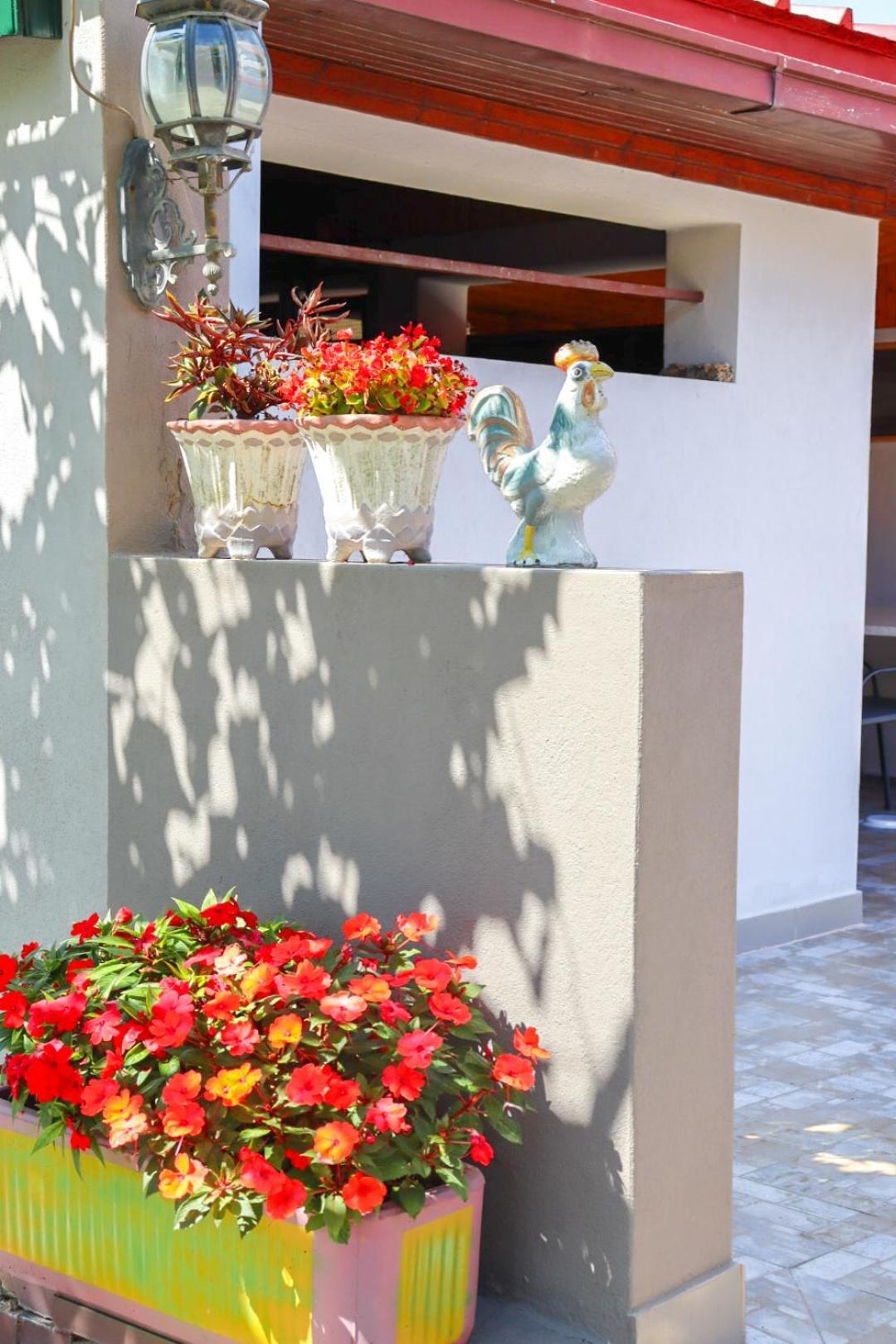 Hilja'S Oliven Garden Bungalows Ούλτσιν Εξωτερικό φωτογραφία