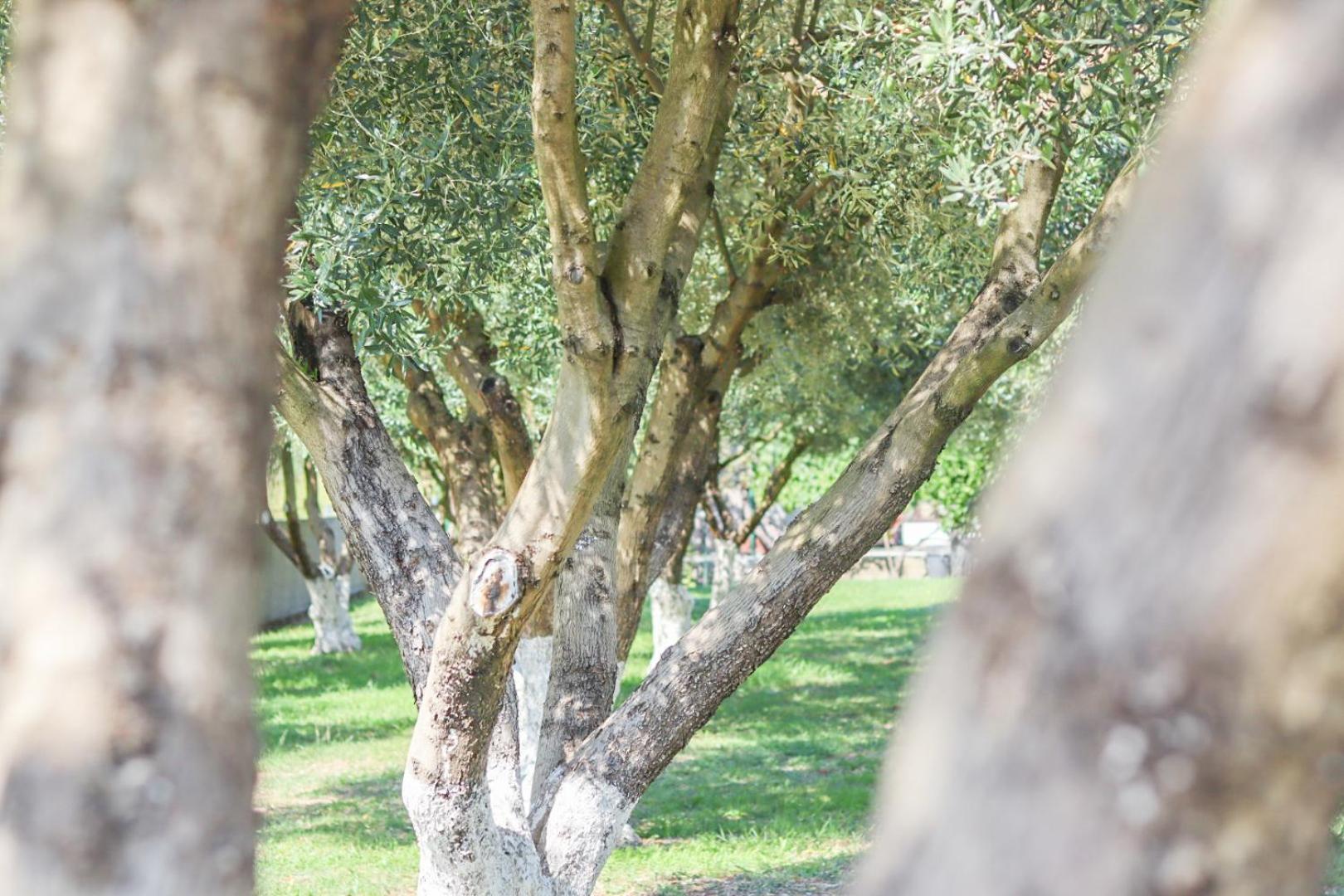 Hilja'S Oliven Garden Bungalows Ούλτσιν Εξωτερικό φωτογραφία