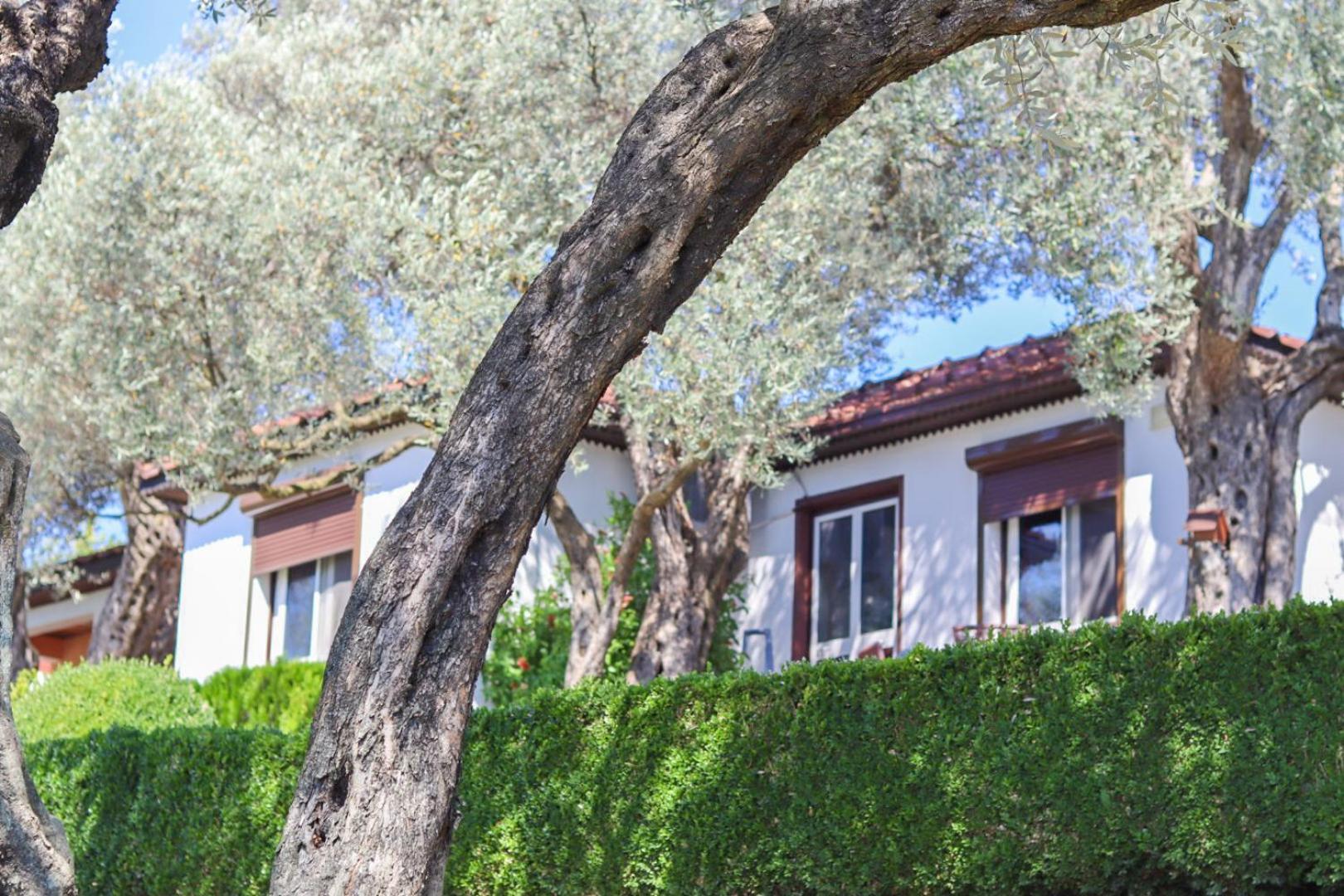 Hilja'S Oliven Garden Bungalows Ούλτσιν Εξωτερικό φωτογραφία