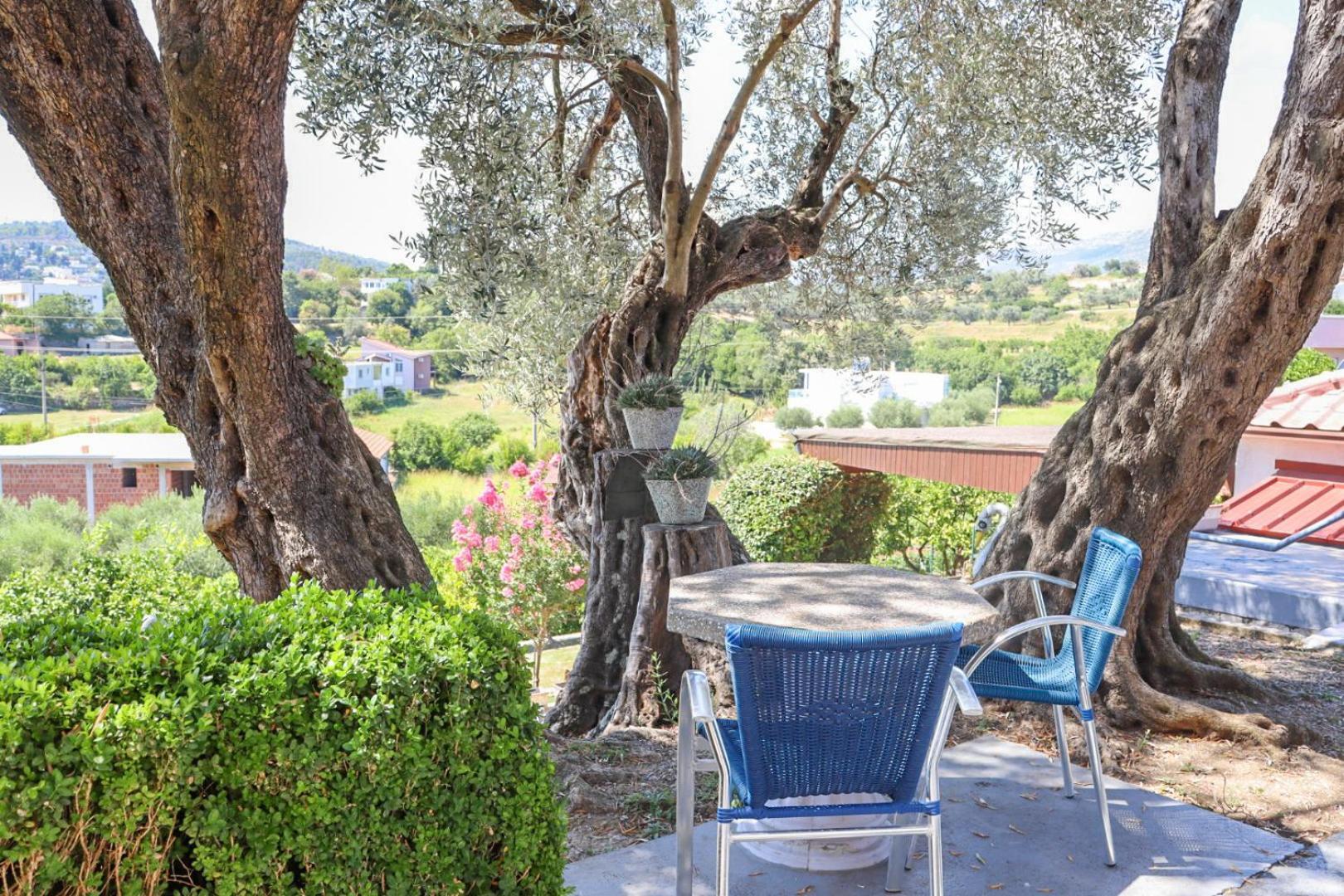 Hilja'S Oliven Garden Bungalows Ούλτσιν Εξωτερικό φωτογραφία